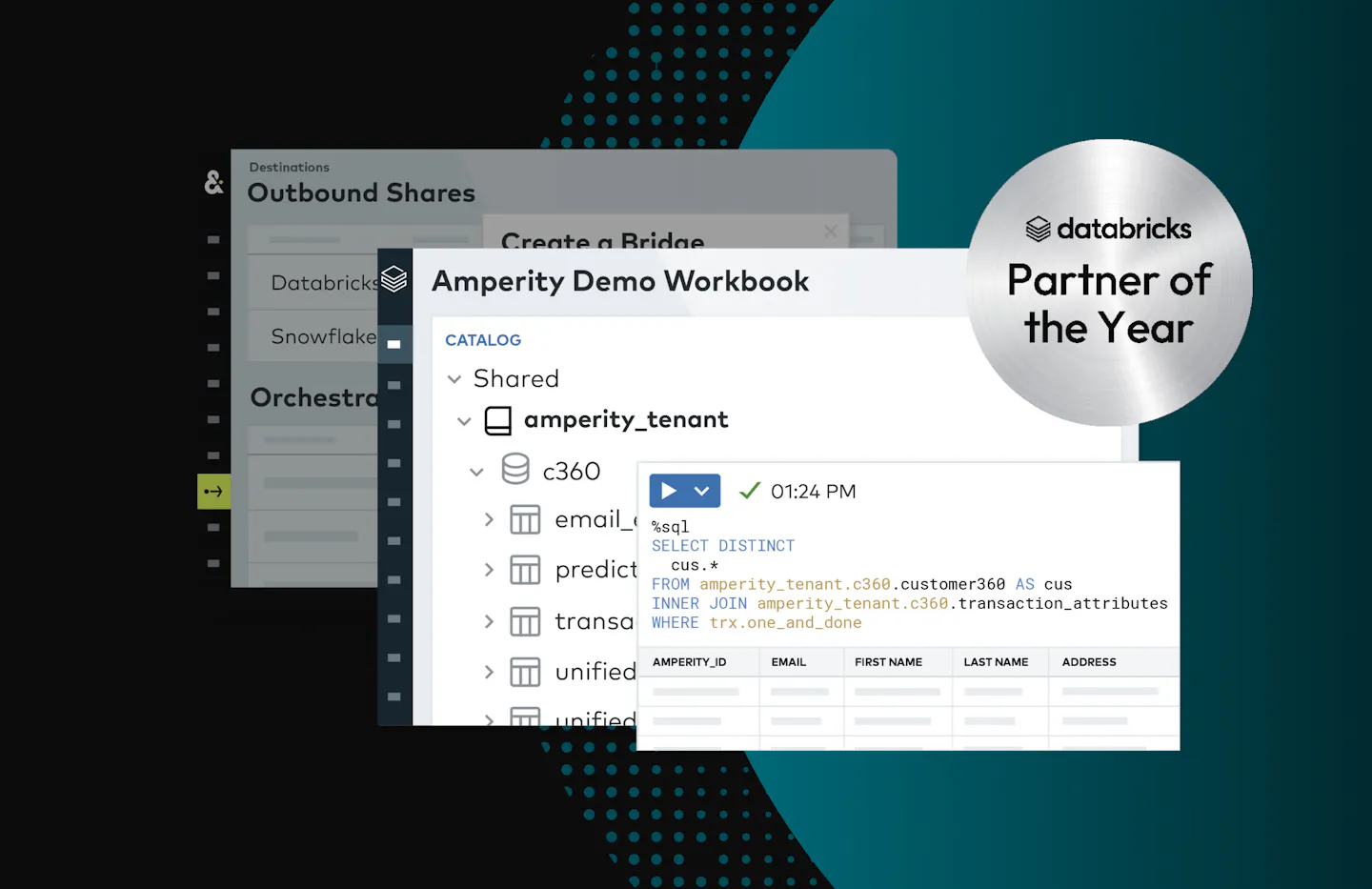 Databricks | Amperity