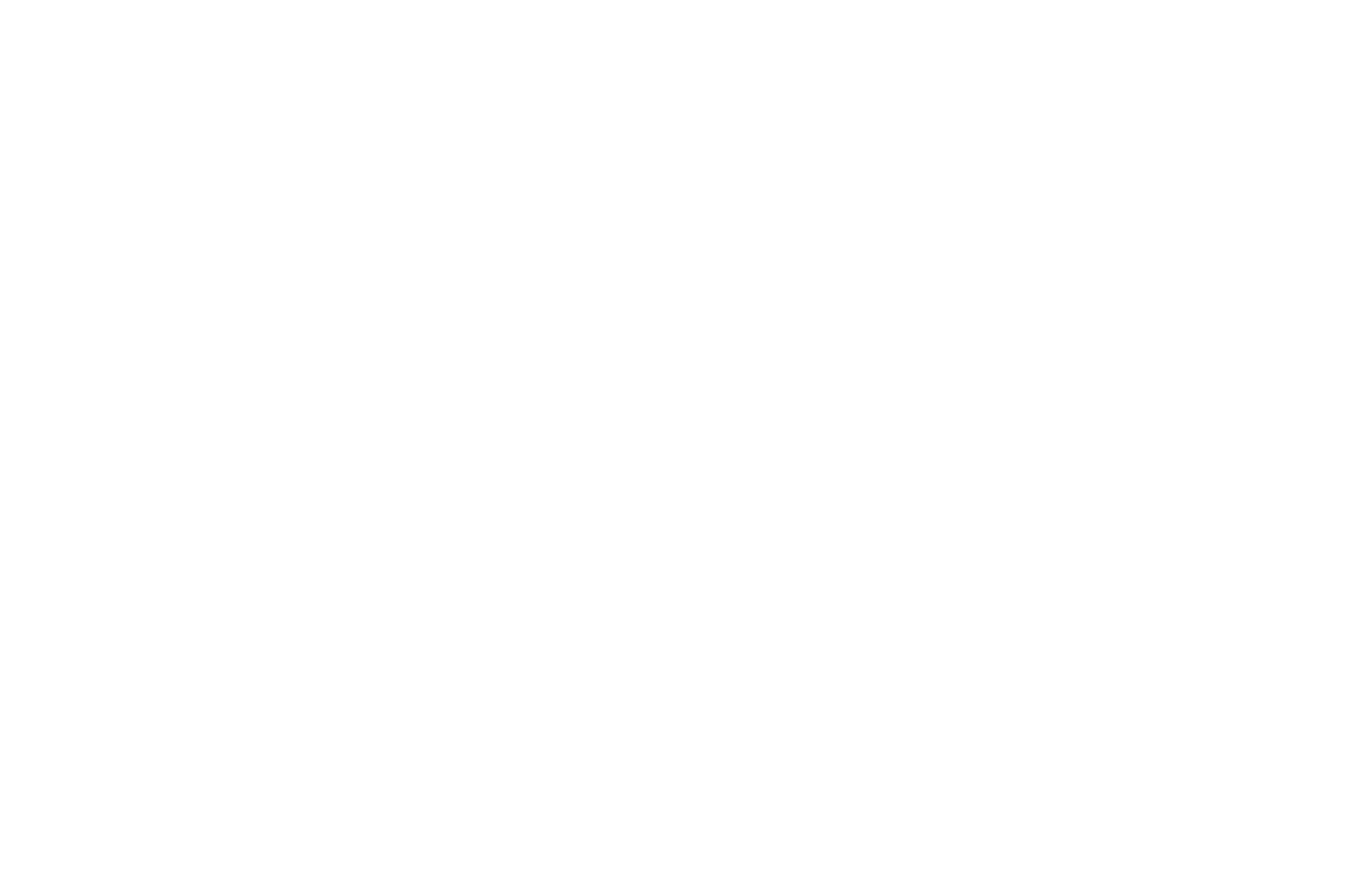 Braze Logo