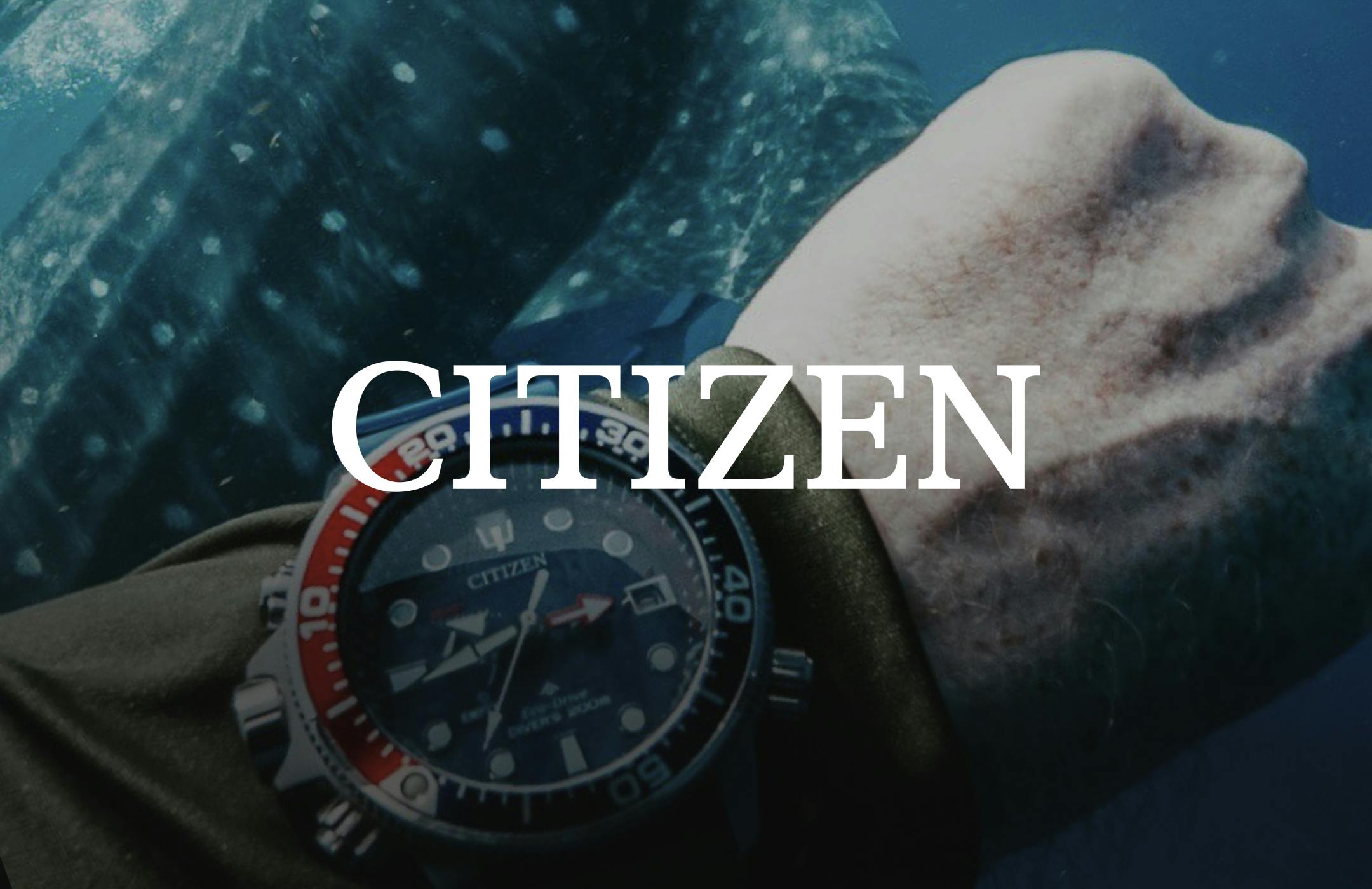 Image of watch under water