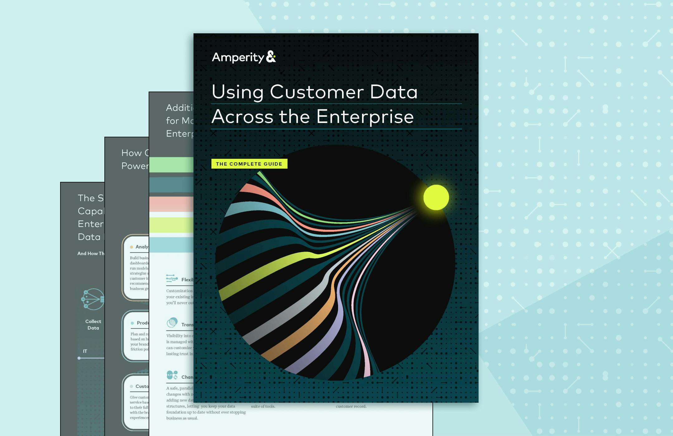 Image displaying guide: Using Customer Data Across the Enterprise. 