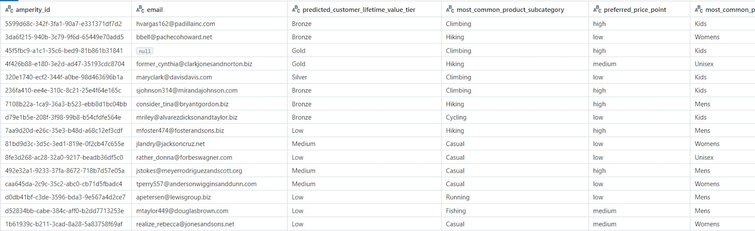 A table of Amperity CDP data shared with the Databricks lakehouse via the Amperity Bridge
