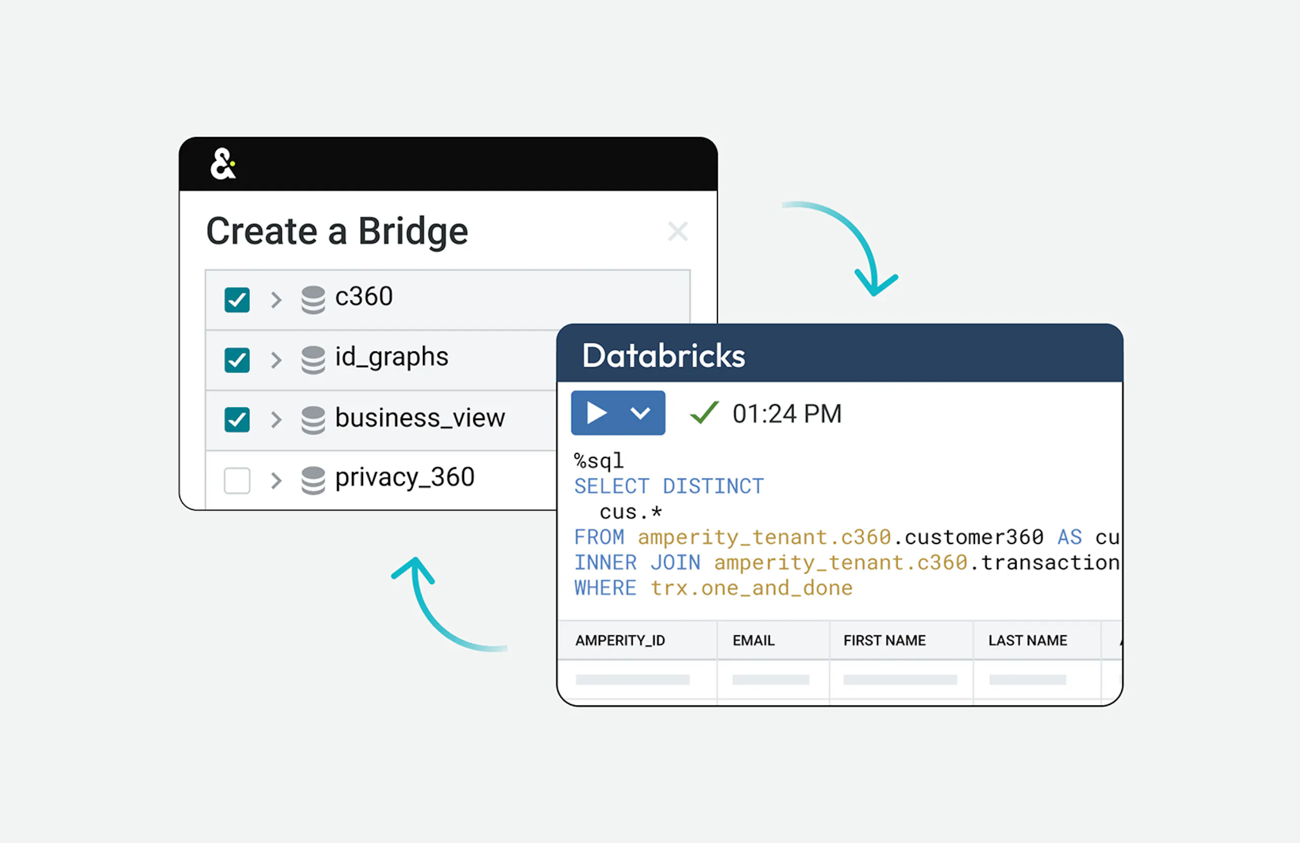Screenshot of Amperity Bridge creating a connection to Databricks
