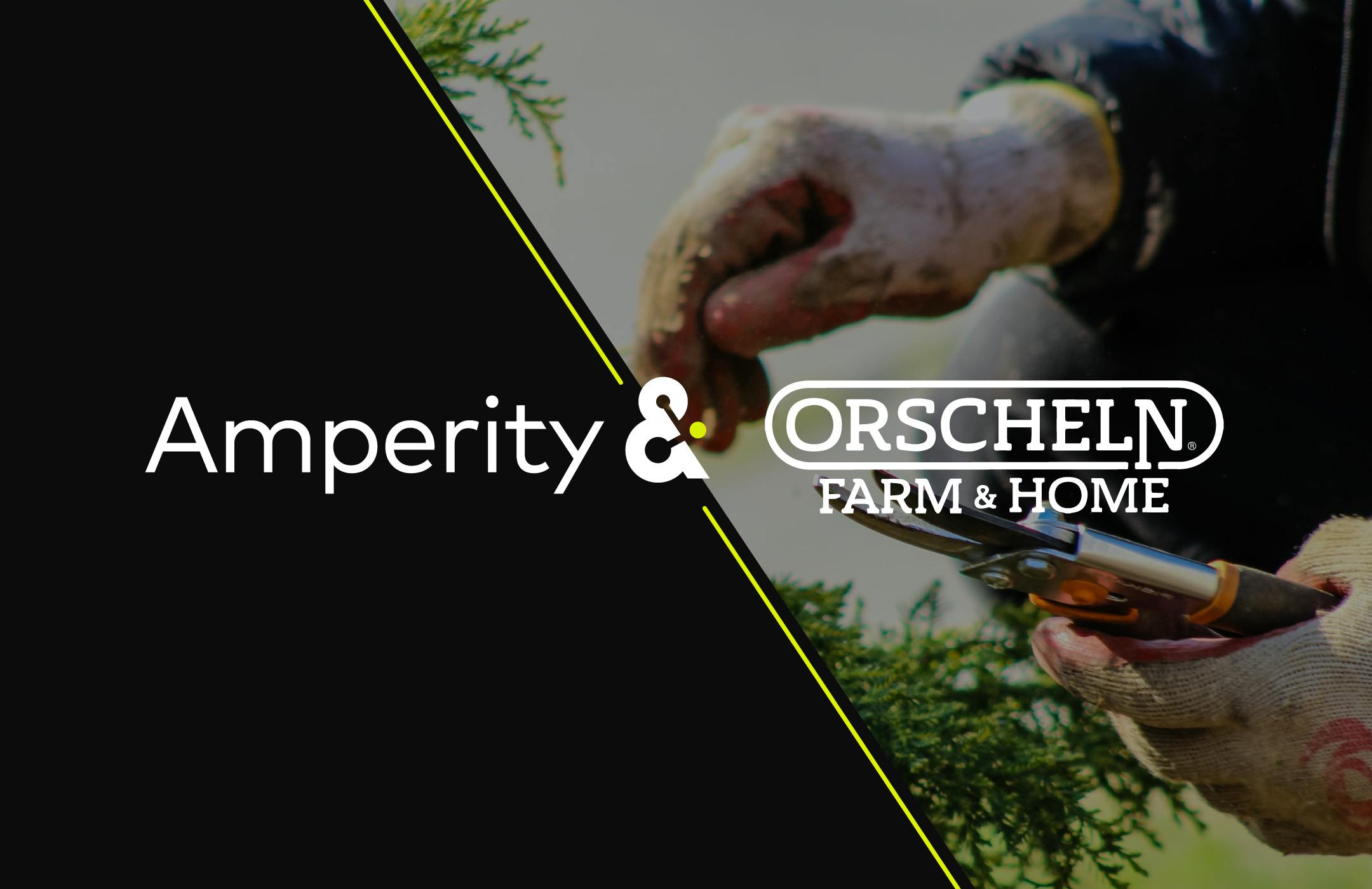 Amperity & Orscheln Farm & Home