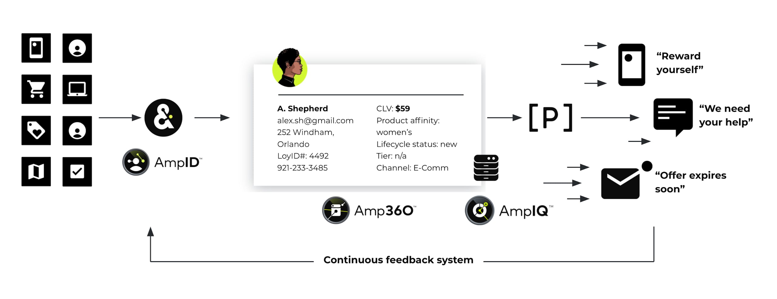 Diagram of continuous feedback system between AmpID, Amp360, and AmpIQ