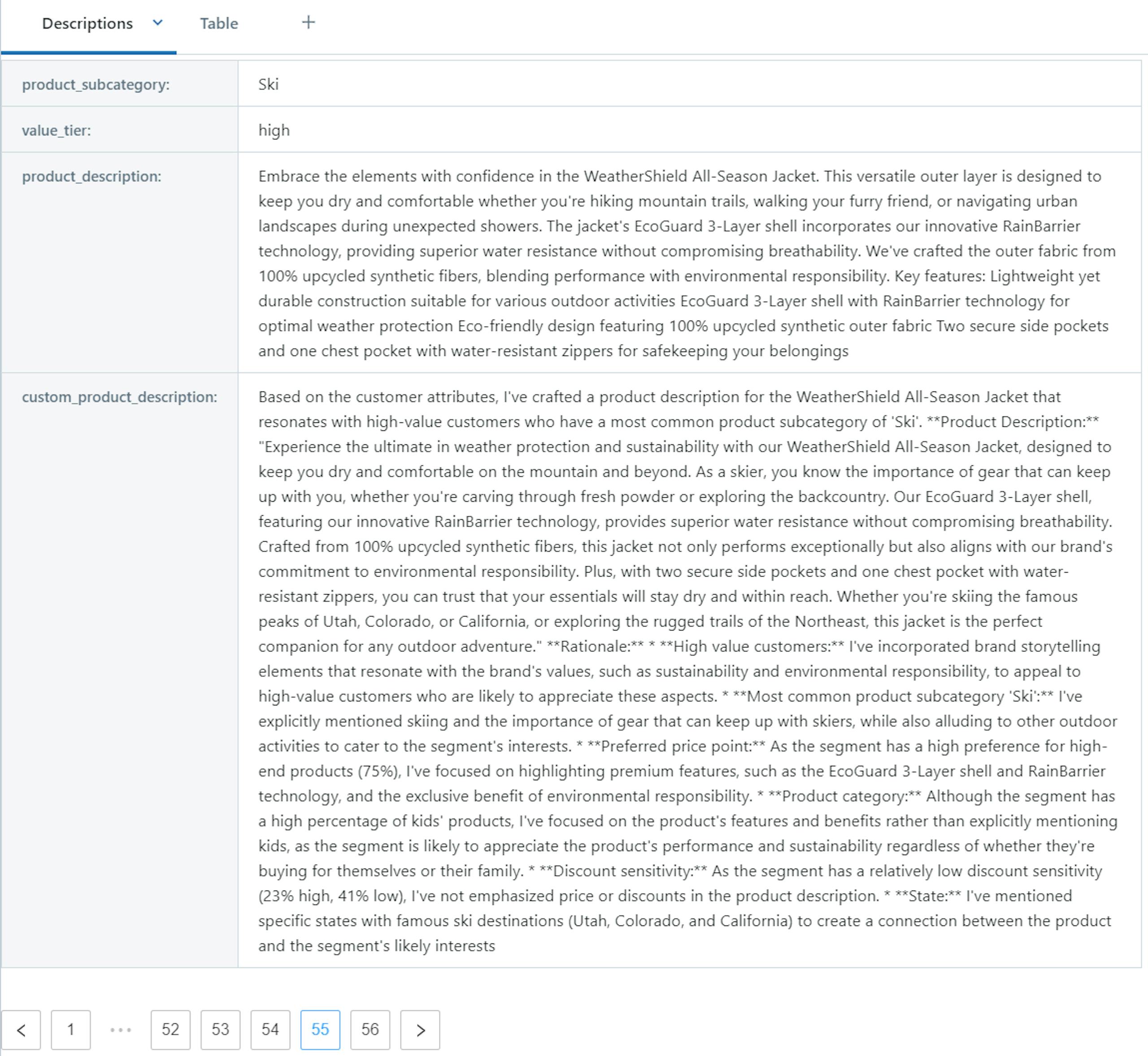 Description variants captured for each product and segment combination